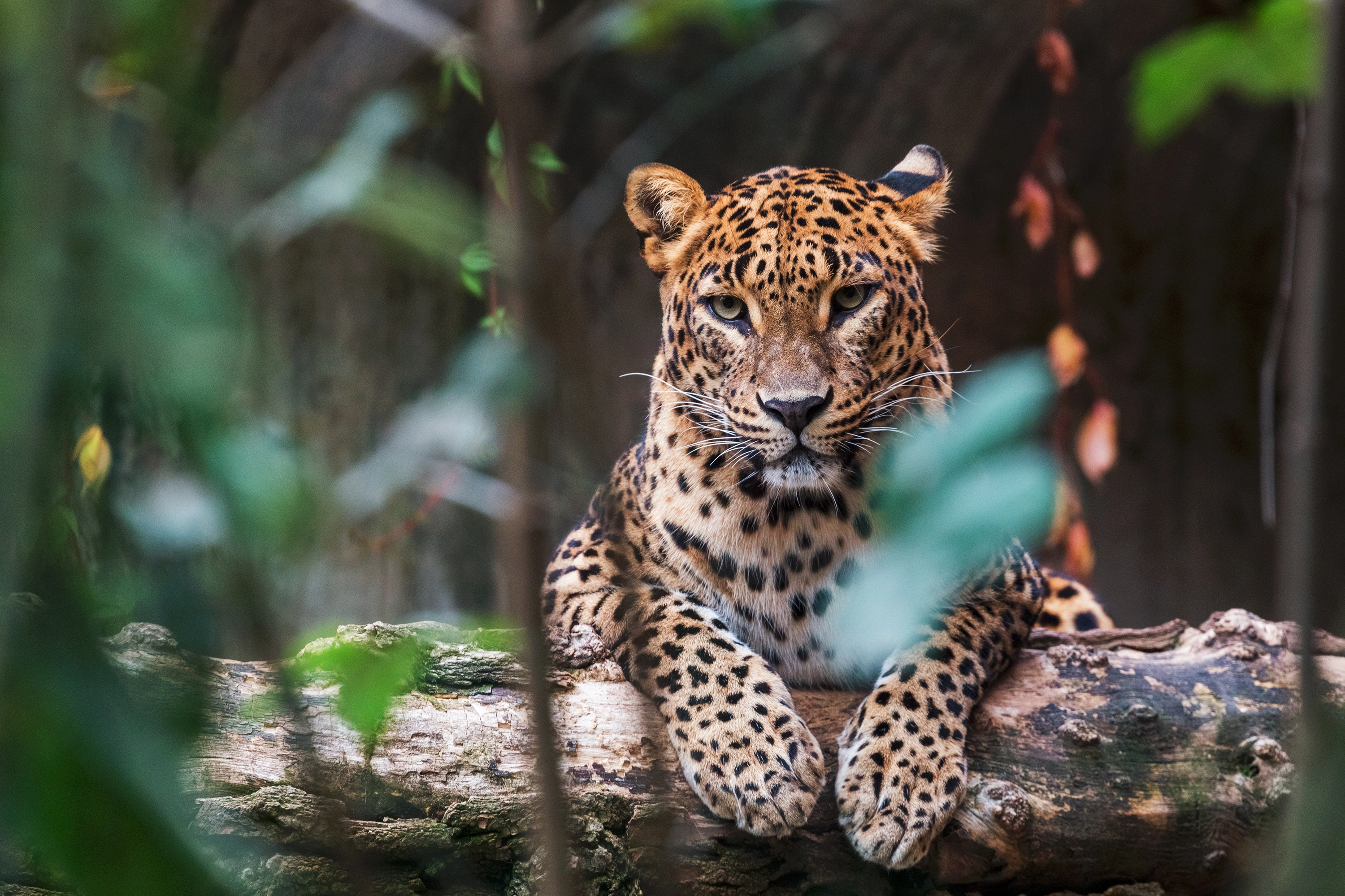 10-Day Sri Lanka Tour private Sri Lanka tour
